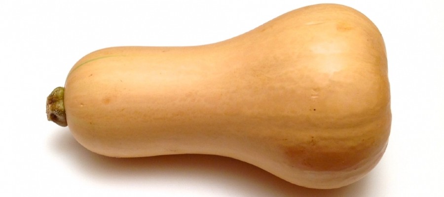 BUTTERNUT  