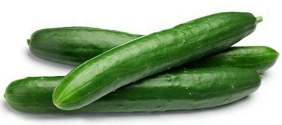 CONCOMBRE 