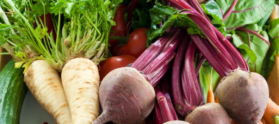 jardin de carpediem legumes bio vente directe