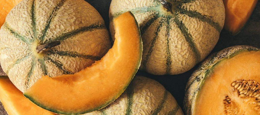 MELON 
