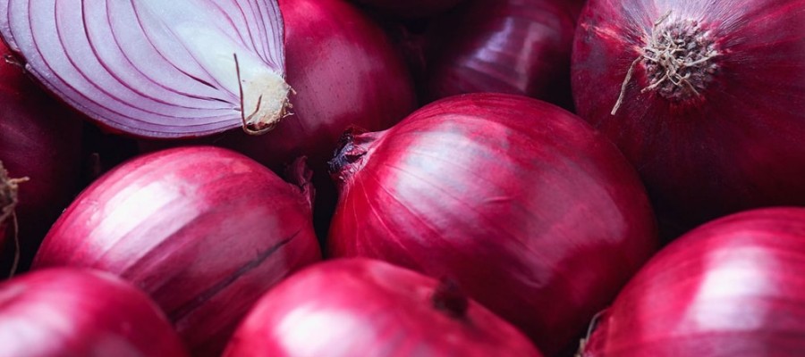 OIGNONS ROUGES 